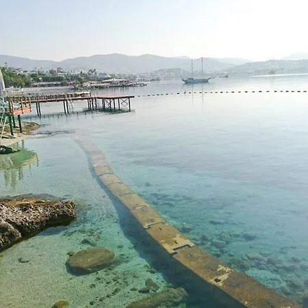 別荘 Aura ビテツ